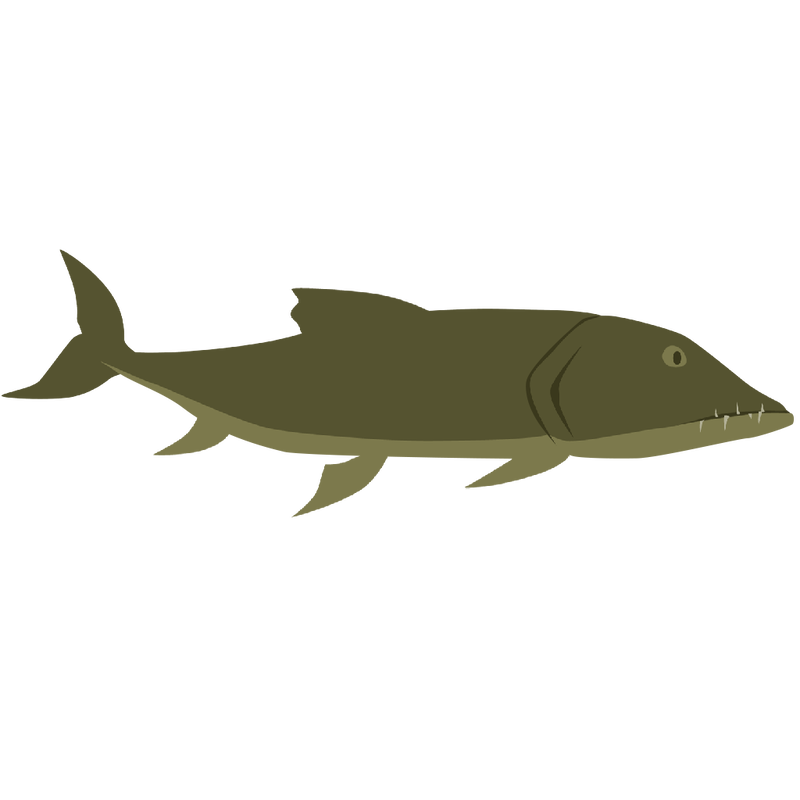 Glum looking fish from the game.